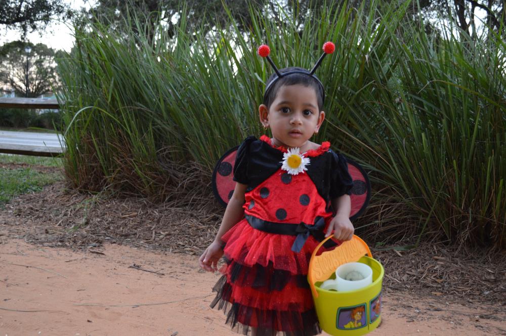 Young girl dressed in lady bug dress with wing